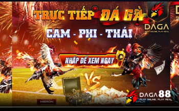 Chữa bệnh EDS trên gà sao cho hiệu quả? - hình minh họa 2